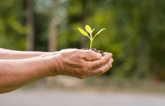 Finding Hope in Times of Adversity 1