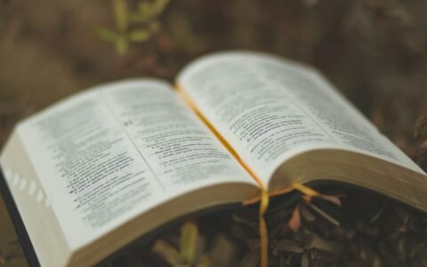 75 Inspiring Bible Verses for Strength, Hope, and Encouragement