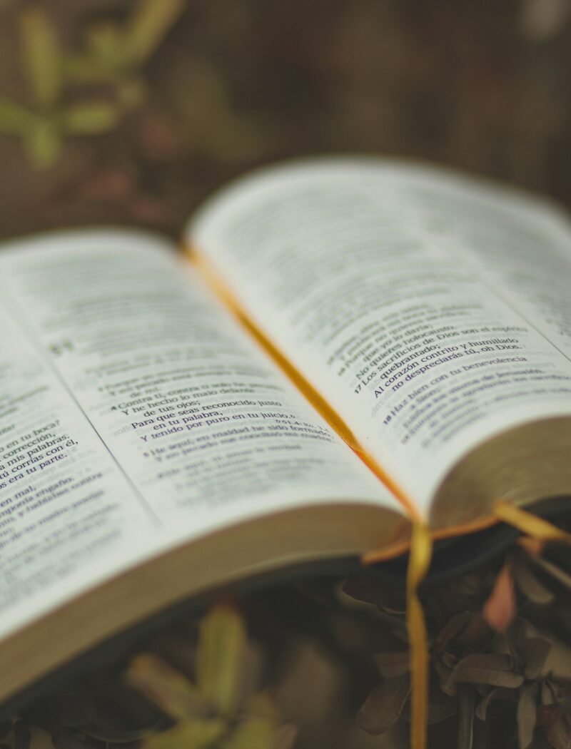 75 Inspiring Bible Verses for Strength, Hope, and Encouragement