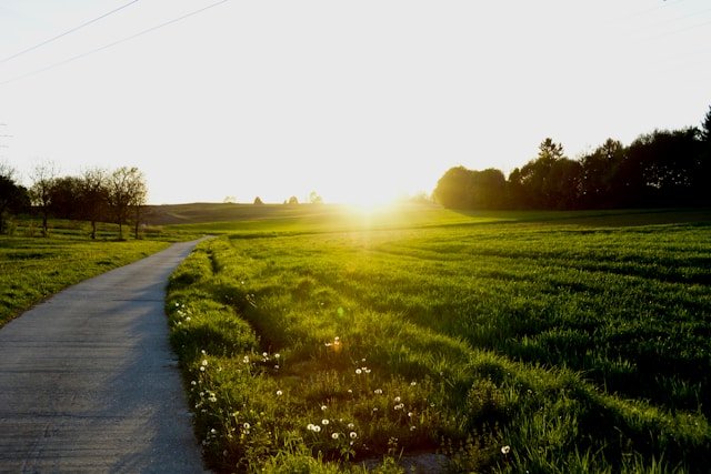 Jeremiah 29 11 - A Promise for the Journey