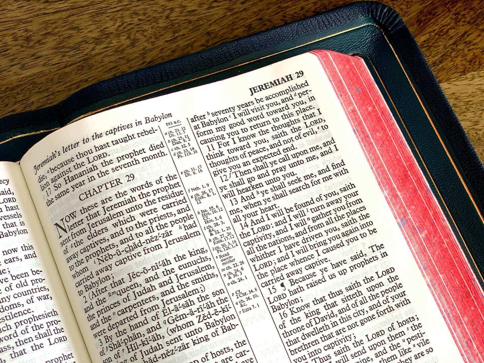 Jeremiah 29 11 - Hope for the future