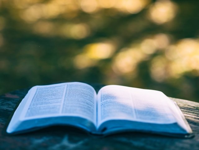 Why This Understanding Changes Everything